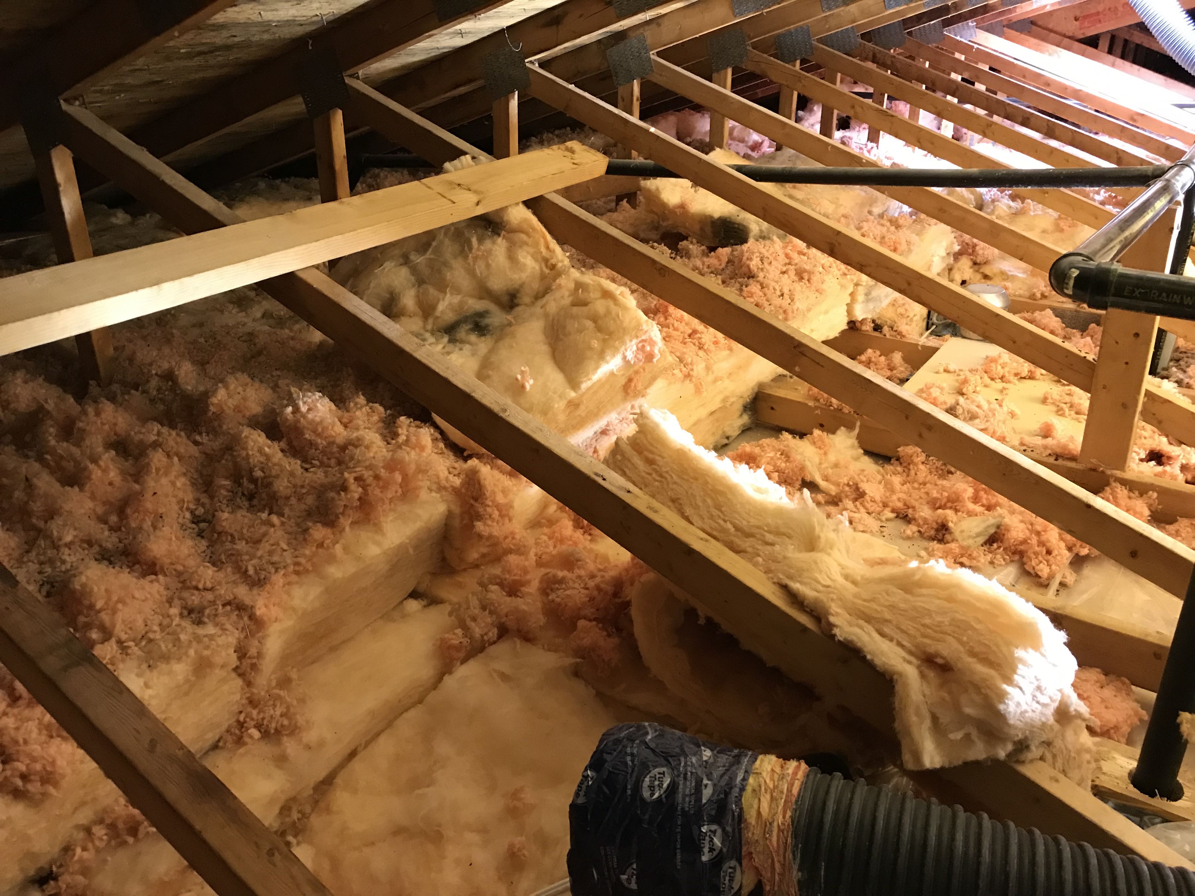 insulation removal Toronto project by Four Seasons