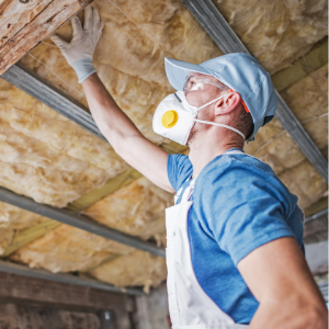 attic insulation removal mississauga